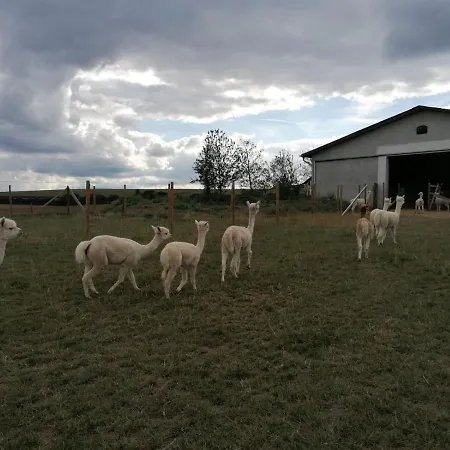 Maifeldtraum Apartman Mertloch