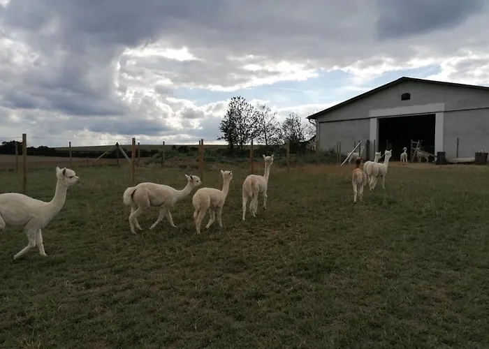 Maifeldtraum Lägenhet Mertloch